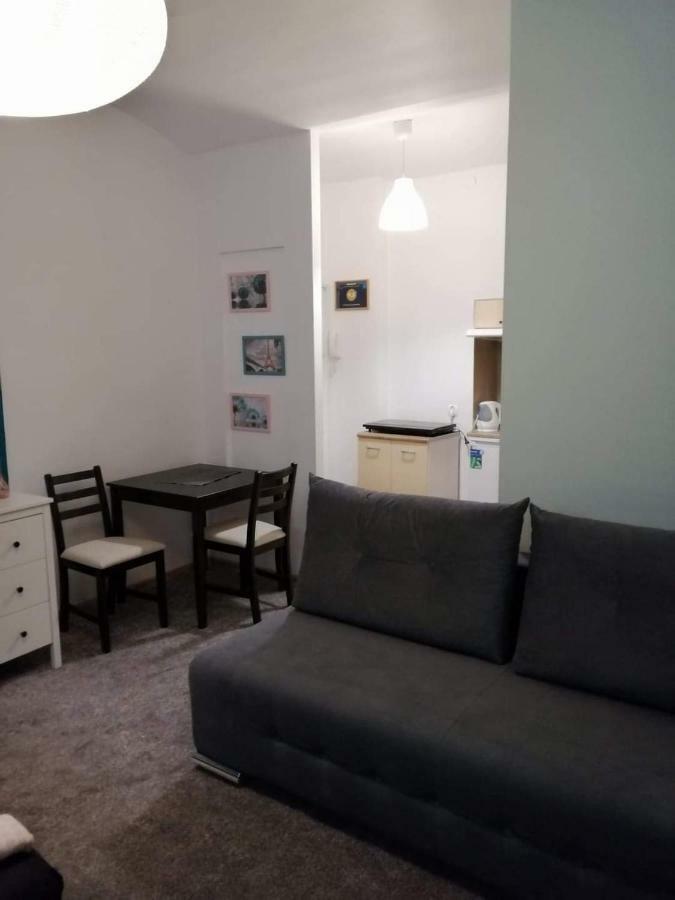 Klimatyczny Apartament Daire Krasków Dış mekan fotoğraf